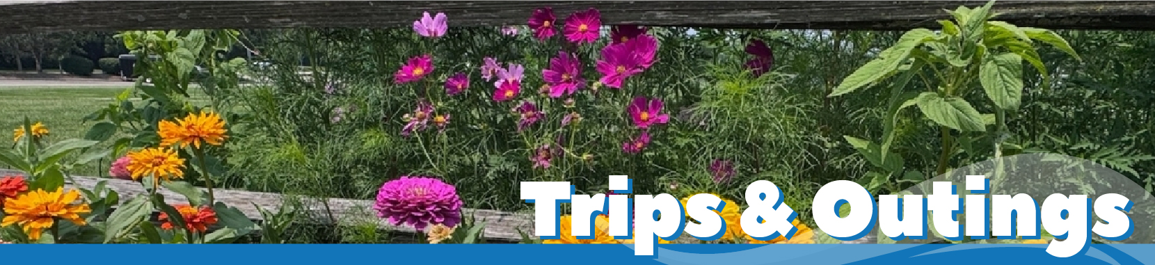 Trips and Outings